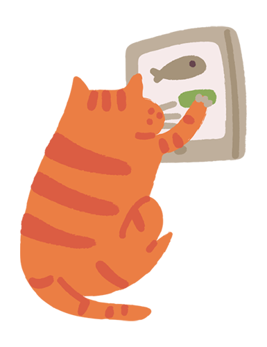 Ginger cat experiencing online food shopping