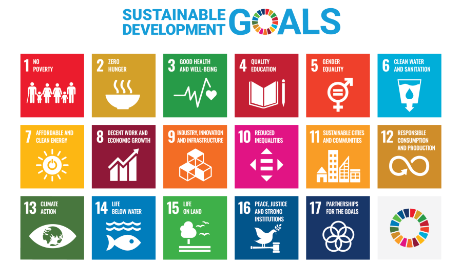 The 17 Sustainable Development Goals