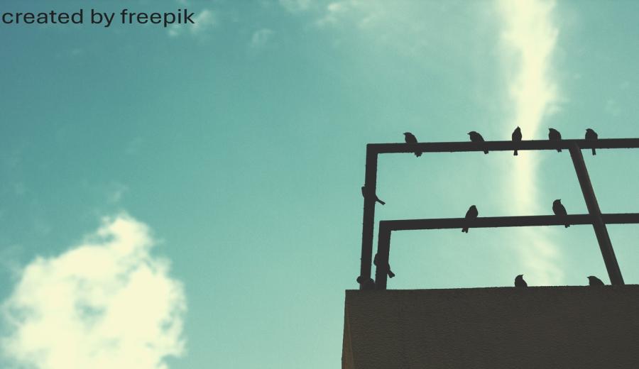 Blinde Flecken & Lernbiografie – reflektiert handeln